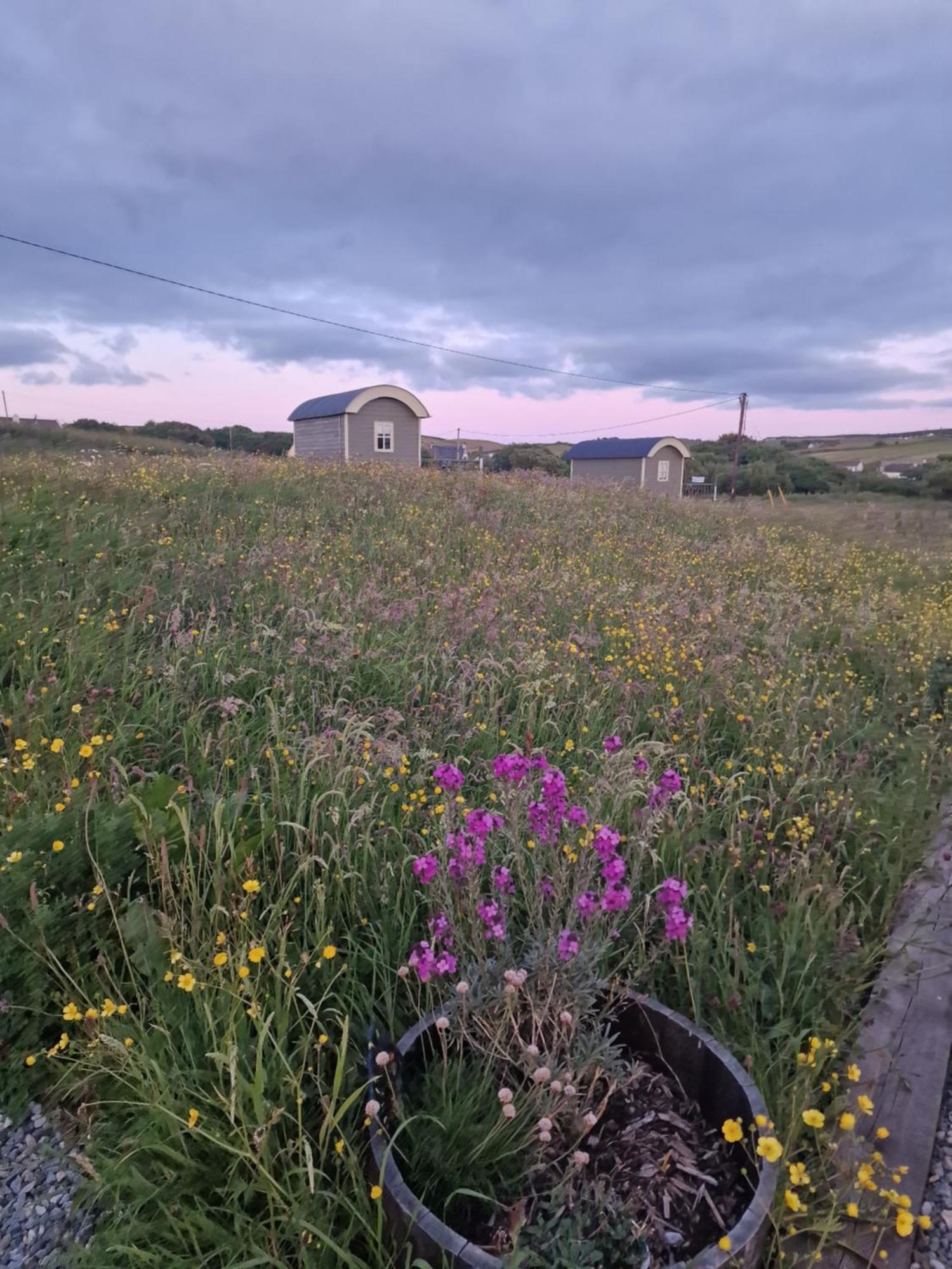 杜林Wild Meadow Huts别墅 外观 照片