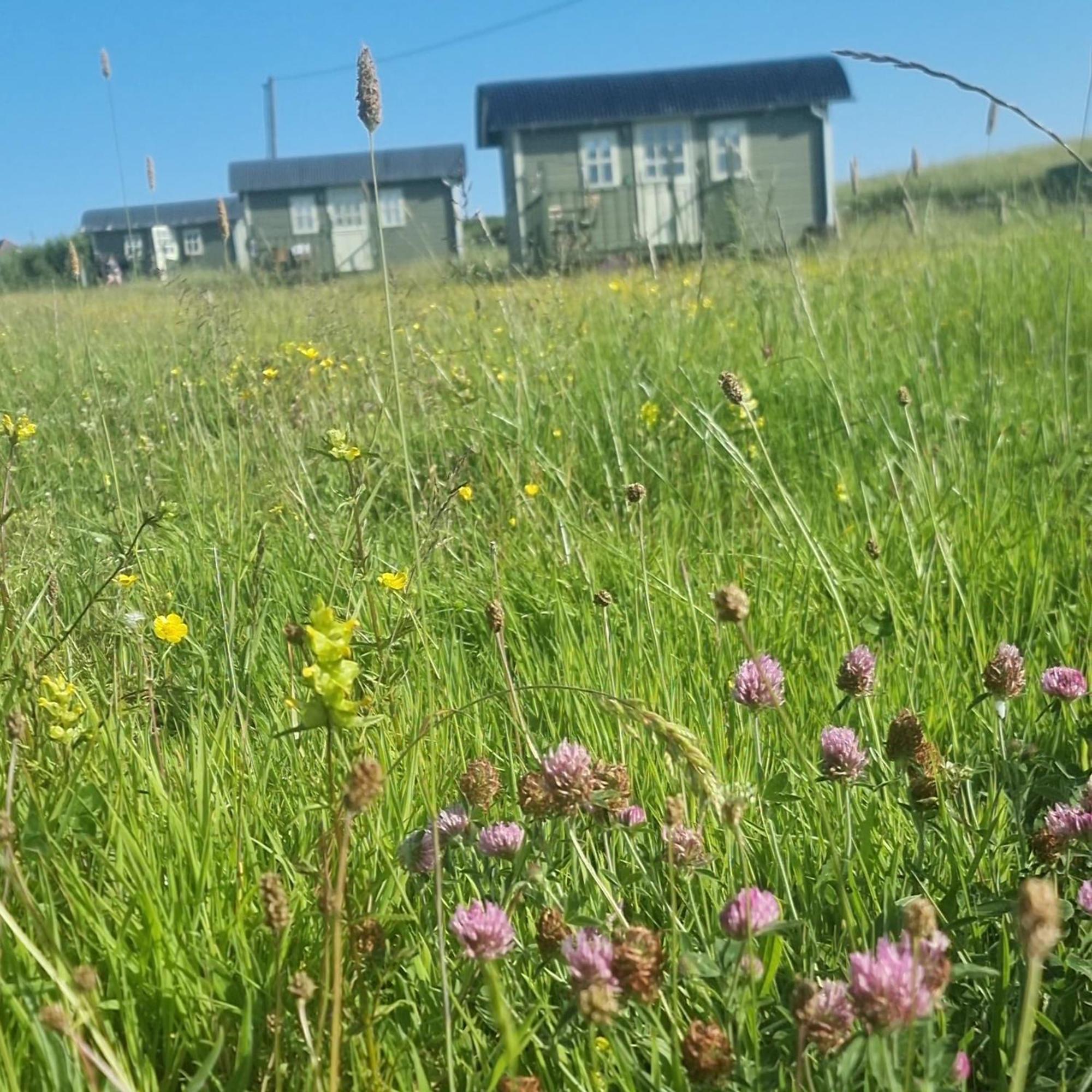 杜林Wild Meadow Huts别墅 外观 照片